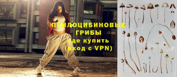стафф Баксан