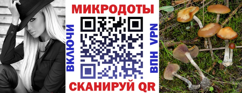 цены наркотик  Иланский  Псилоцибиновые грибы Magic Shrooms 